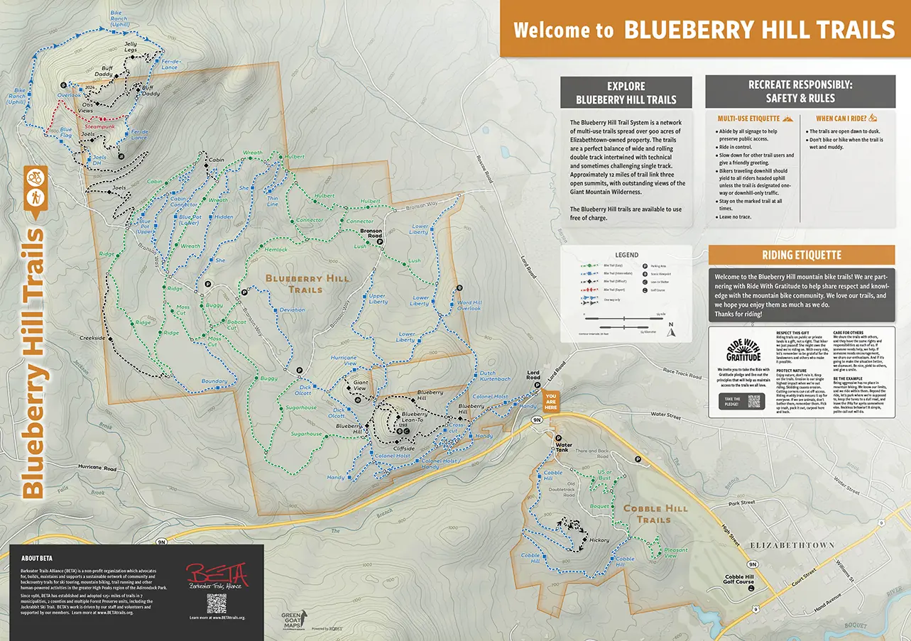 Blueberry Hill